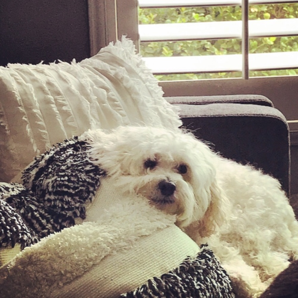 Meet your Posher, Debra